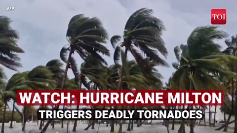 Hurricane Hamilton Flattens Florida; Tornado Havoc, Millions Without Power, Hundreds Homeless