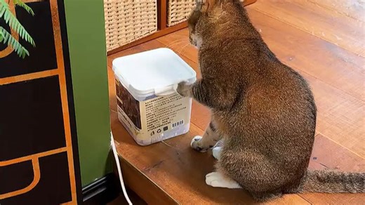 美的空气净化器R89999，除菌除异味，守护宠物家庭呼吸健康。99.9%除菌率，深层净化空气，居家更安心。