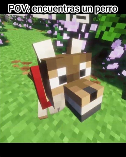 🐶Cuando encuentras un perrito #minecraft #minecraftshorts #viral #viralshorts
