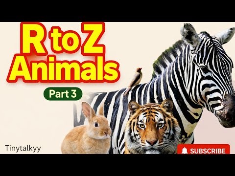Animal Names R to Z! 🦓 Part 3 | Can You Say Who It Is? | First Words for Toddlers#kidslearning