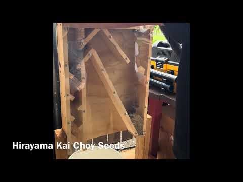 2025 CTAHR Seed Saving