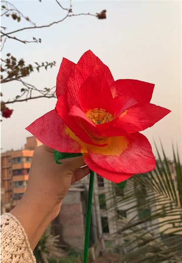 How to make water lily easily with tissue paper🪷 If you enjoyed it, don’t forget to like, comment, and share 💕 #diy #waterlily#tissuepaper #fyp #viral