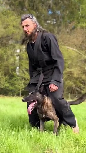 Our Only Hope for Survival, a Man and His Dutch Shepherd #dog #dogs #puppy #germanshepherd #dutchshepherd #gsd #doglover #dogsoftiktok #fyp #dogsofinstagram | American Standard Dog Training
