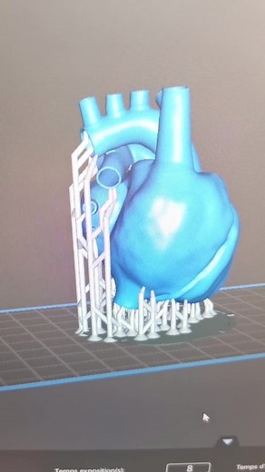 Coben (@co.ben) - Impression résine flexible ! J'imprime un coeur anatomique #coeur #resine #imprimante3d #elegoomars2pro @elegoo_3d
