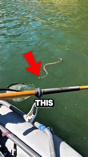 Water Snake Escape Trick 😱 #shorts #viral #tiktok #usa