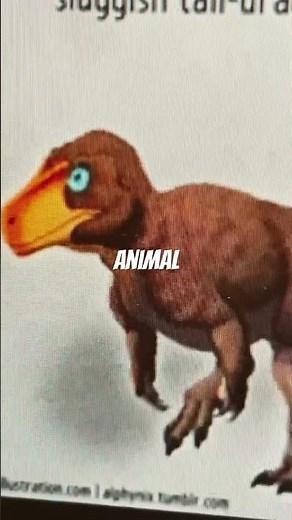 Evolution of Megalosaurus 👀