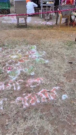 Atul Kolpe on Instagram: "#🙏🏻🌺बाळूमामाच्या_नावानं_चांगभलं🕉️🙏🚩 . . . . . . . . . . . . . . . . . . . . . . . . . . . . . . . . . . . . . . . . . . #trending #reels #maharashtra #trending #instagramreels #instagram #vidharbha #instadaily #jaybalumama🌍💯🌺🔱🙏🤗💞🥀🌿📿💯🕉️🌺 #जयबाळूमामा💛🙌🚩🌺 #trendingreels #balumamachyanavanchangbhala❤️🌍🙏🏻 #🙏🏻🌺बोला बोला बाळू मामा च्य नावानं चांगभलं 🌺🙏🏻 #बाळू मामा 💛🥹🚩🙏🏻#जयबाळूमामा💛🙌🚩🌺"