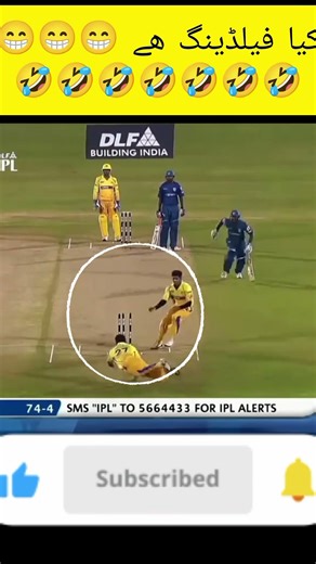 Cricket Funny Moments: The Insane Fails Nobody Talks About in 2024