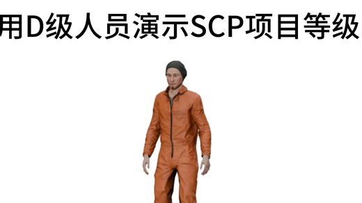 用D级人员演示SCP项目等级