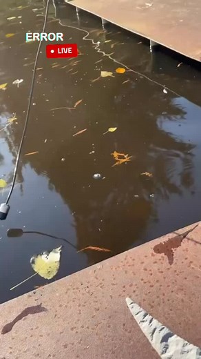 1.5K views · 15 reactions | Water and microphones — that’s where her...