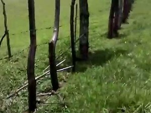 Destino final 7 Trailer oficial