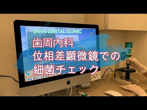 『歯周内科・位相差顕微鏡での細菌チェック』