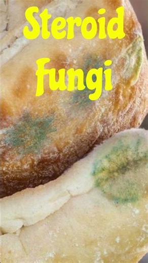 Steroid Fungi#sciencefacts #didyouknow #fungiclassification #viralvideo #neet #mycology