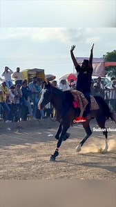 Aurangabad Race 2025 में AR stud farm के घोड़े अल सकब ने मारी बाज़ी सवार गोलू ने दोनों हाथ छोड़कर जीती रेस #Aurangabadhorserace2025 #Aurangabadhorseshow2025 #ChhatrapatiSambhajinagarhorserace #Aurangabadhorserace #Aurangabadhorsemela2025 #Aurangabadmarwadihorseshow2025 #Maharashtrahorserace #IndianHorseRace #marwadihorseshow #horse #instagram #instagood #reels #viral #viralvideos #fb #facebookreel | Indian Chaalbaaz