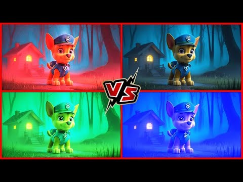 Coffin Dance Song | From Unknown to Viral Phenomenon