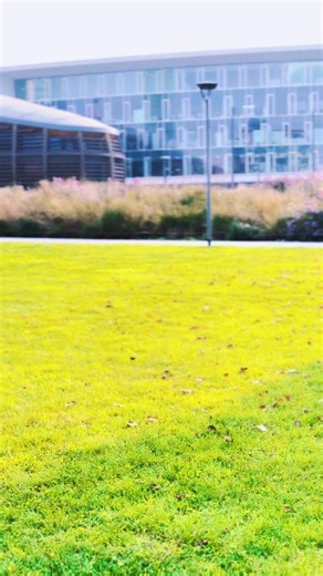 Discover the Serenity of Italy's Quiet Nights