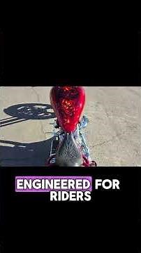 Discover the 2005 Bourget Python A $20,000 American Muscle Masterpiece!