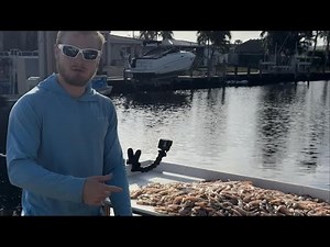 INSANE Hillsboro inlet shrimp run