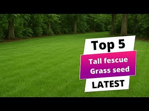 ✅ Best tall fescue grass seed: Tall fescue grass seed (Buying Guide)