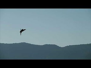 #falconry the #peregrinefalcon Hunting, Short Stoop compilation HD