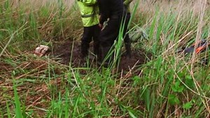 8.1K views · 221 reactions | Fens aren’t just muddy mosquito-ridden...