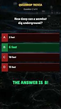 Can You Answer All 4 Wombat Trivia Questions?