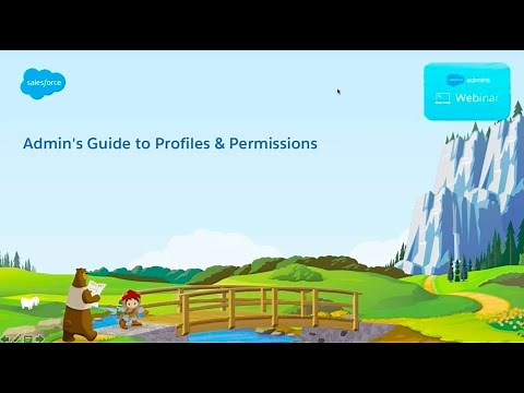 An Admin's Guide to Profiles and Permissions