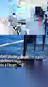 6.9K views · 19 reactions | Partis pêcher en mer, ils ont eu la frayeur de leur vie en voyant un requin de 150kg atterrir sur l’avant de leur bateau  #rediff | Le Parisien Vidéo | Facebook