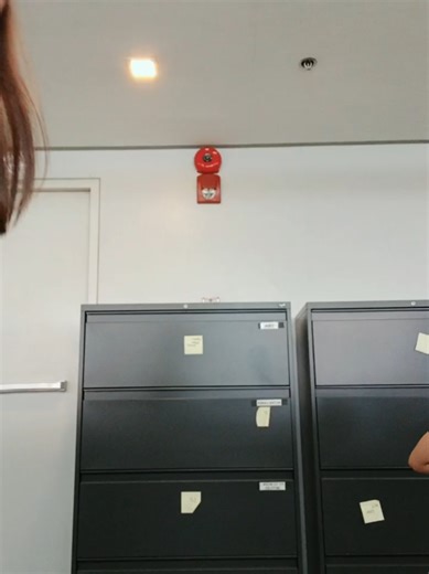 Fun Chicken Dance Routine for Mother and Son