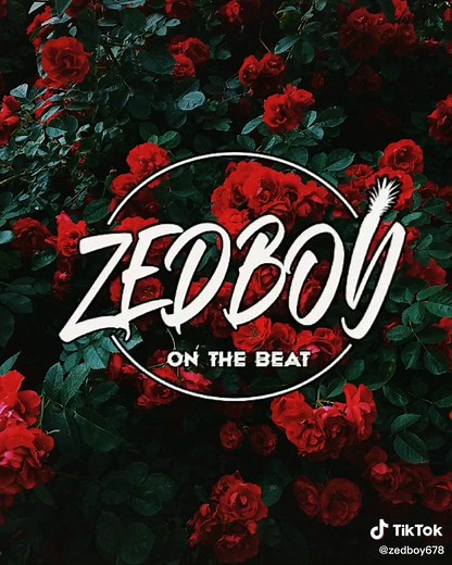 Zedboy Remix on TikTok