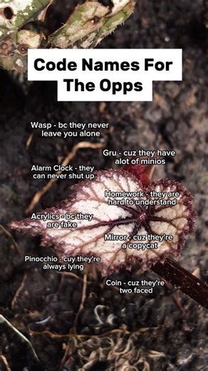 Code names for the opps #shorts #education #facts