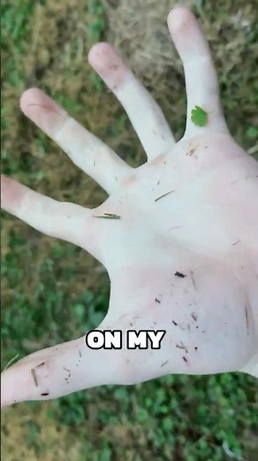 First time in FORTNITE HISTORY!!! #fortnitechallenge #minichallenge #40days