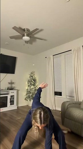 HOW DID THE CAT FLY?