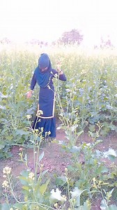 Rochi Rochi on Reels