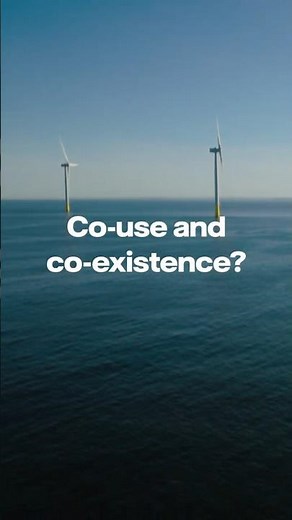 Co-use and co-existence