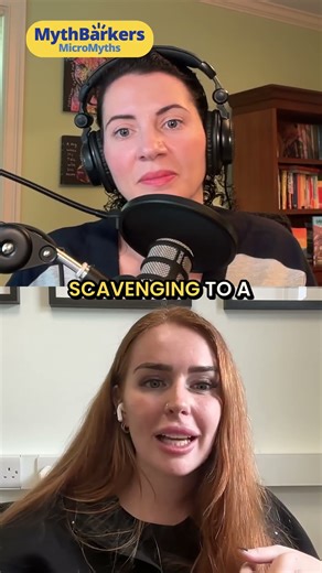 There are many different reasons why a dog might be wearing a muzzle ￼