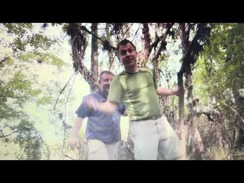 Wild kratts mosquito dragon @WildKratts @PBSKIDS ￼