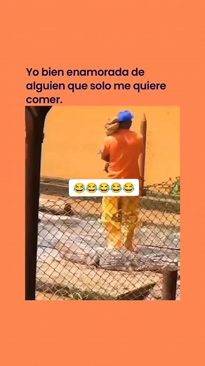 Humorous Encounter with a Monitor Lizard