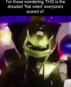 For those wondering, THIS Is the dreaded "Rat video" everyone's scared of. - iFunny