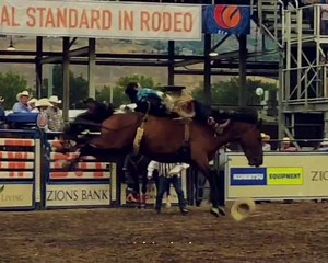 Let's Rodeo! | Cowboy Lifestyle Network