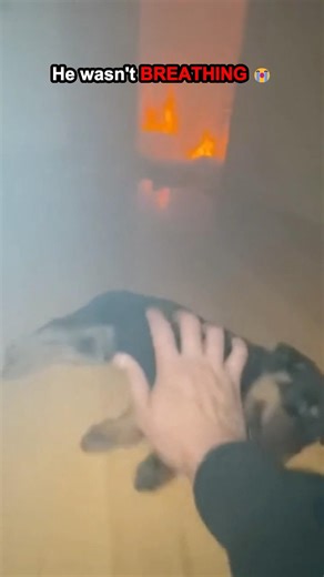 Ran Into BURNING House to Save Puppy... 🔥😭