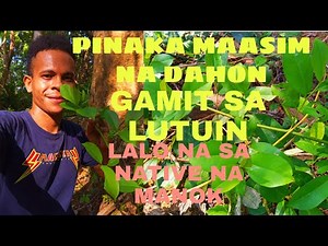 DAHON NA PANG ASIM SA MGA LUTUIN LALO NA SA NATIVE NA MANOK NAPAKA SARAP