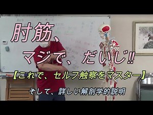 【触察セミナー】肘筋のセルフ触察 ＆ 詳しい解剖学的説明（小川隆之）／オープンパス・メソッド®／ボディワーク