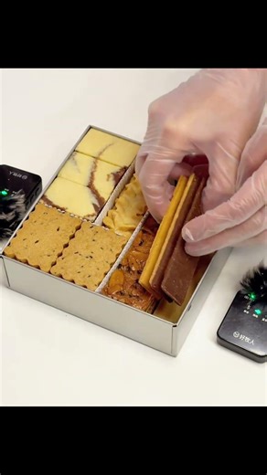 Immersively fitting cookies perfectly into the tin – got a new packaging today! 🎁🍪