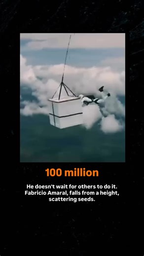 History | Brazilian skydiver Fabricio Amaral turned extreme sports into an instrument of ecological revival, dropping over the cut down areas of the... | Instagram