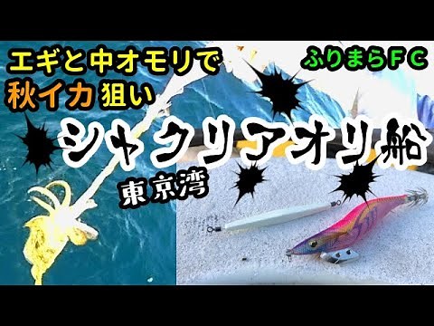 エギングじゃないアオリイカ釣り？ 東京湾シャクリアオリ船【うらまら#26】