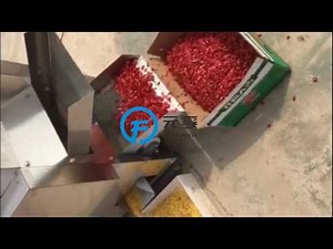 dry chili cutting machine / dried chilli seed separating machine