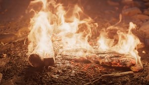 Increase inventory size in Diablo 2 Resurrected: Essential tips to free up space - GINX TV