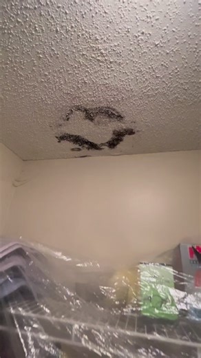 Raising a low Toilet Flange with an Oatey Flange Spacer #plumbing #plumber #plumbproud #plumblife #toilet #toilets #toiletrepair #toiletcleaning #bathroom #plumbingrepair #diy #howto #asmr #reels #reelsvideo #reelsviral #serviceplumber | Theconservativeplumber