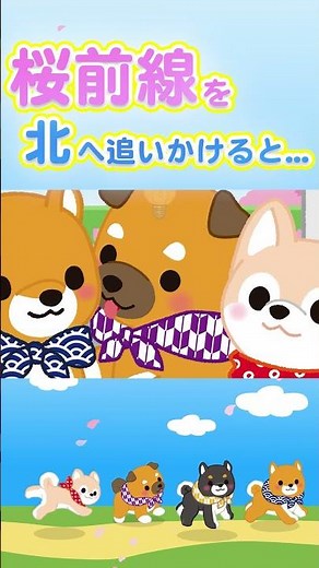 桜前線を北へ追いかけると... #アニメ #豆しば三兄弟 #桜